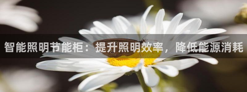 云顶国际赌彩公司下载