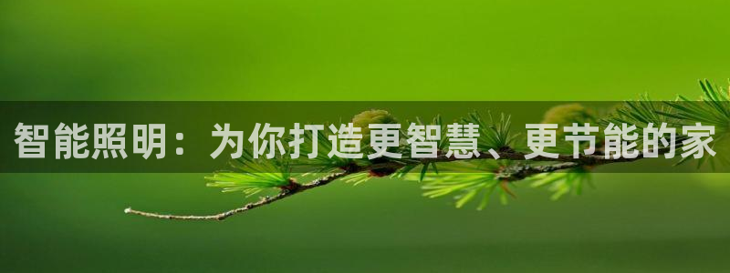 云顶国际唯一官网