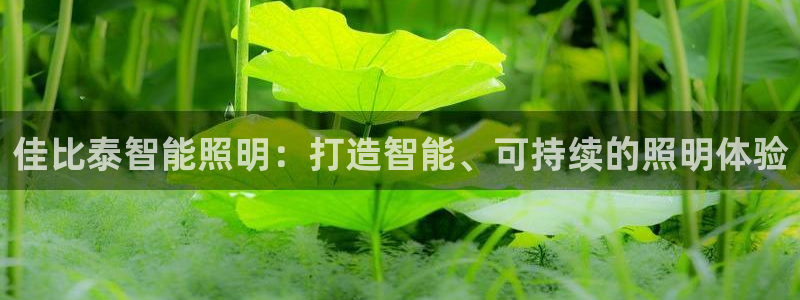 云顶国际是真实网站吗?