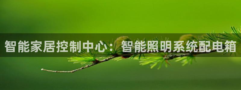 云顶网上官网