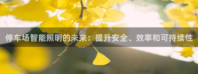 云顶国际服没有改名卡