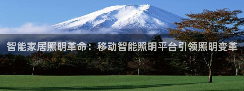 云顶国际服充值