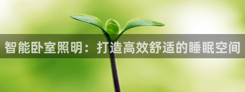 云顶国际服s11什么时候更新