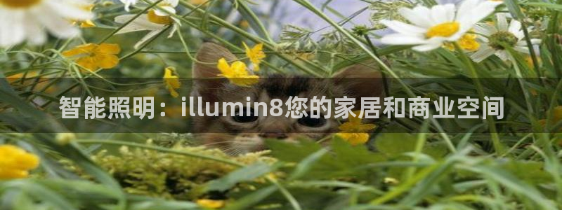 云顶国际官网登录