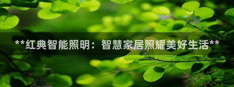 云顶国际会所在哪里