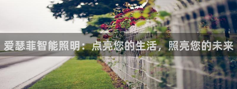 云顶国际黑网不出款怎么办