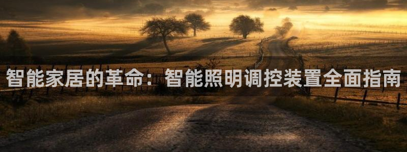 中国云顶控股集团