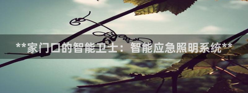 云顶国际网页