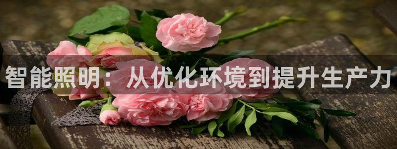 云顶集团网投领