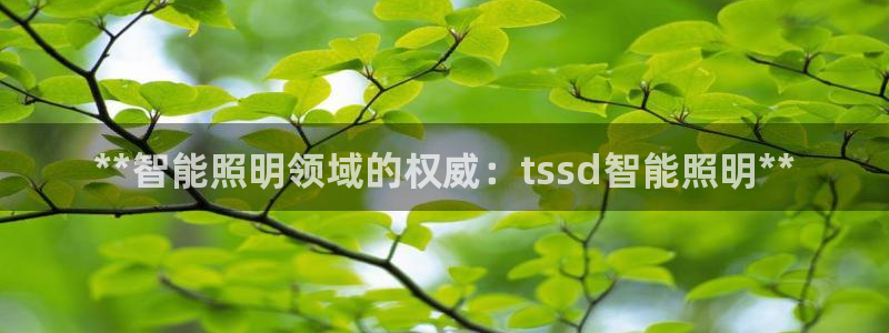 云顶国际是合法的吗