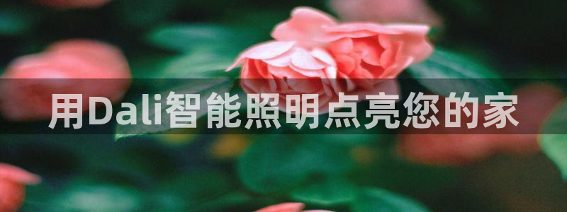 云顶国际有限公司