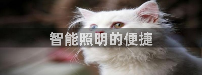 云顶国际注册送38