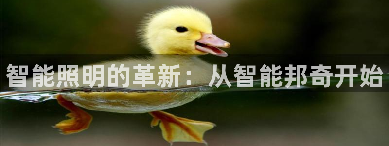 云顶国际服充值