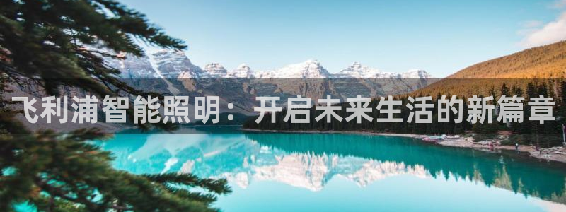 云顶游戏官网网址