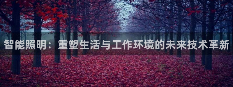 云顶国际黄钊华