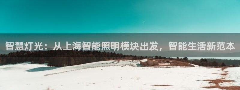 云顶手游国际版