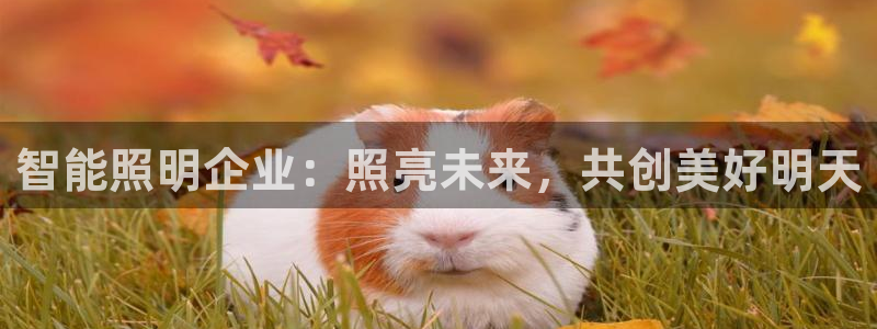云顶国际集团游戏app