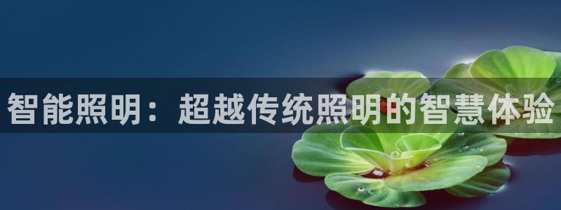 云顶国际网站是多少