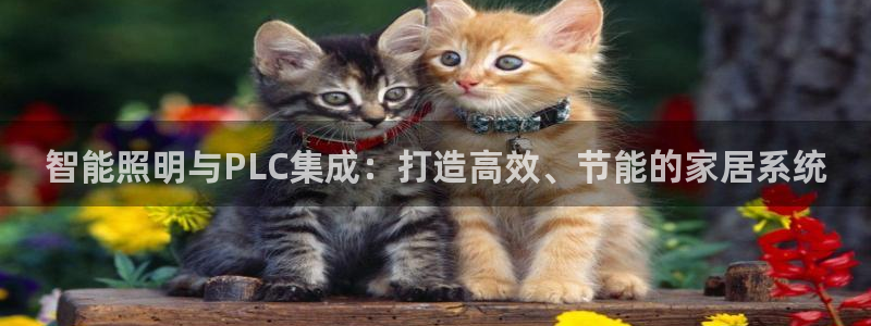 云顶国际注册送28