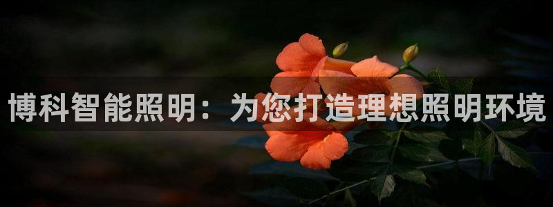 云顶国际大厦在什么地方