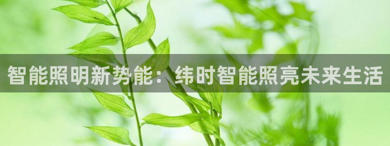 云顶国际下载APP