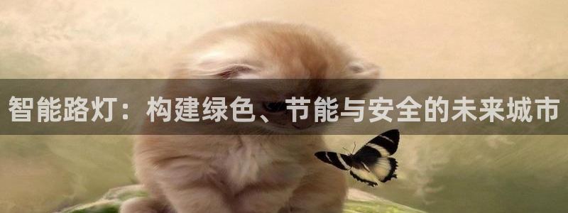 云顶国际app手机版：智能路灯：构建绿色