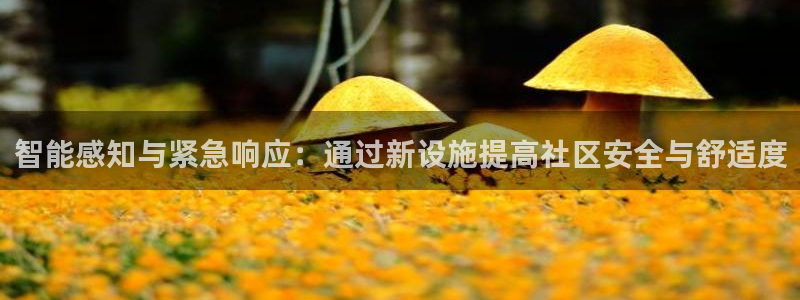 云顶国际部HKDSE：智能感知与紧急响应