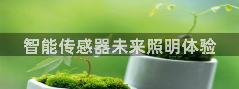 云顶国际是做什么的