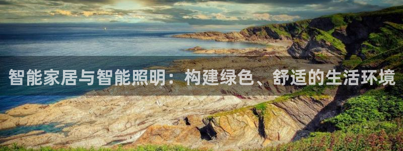 云顶国际大酒店老板