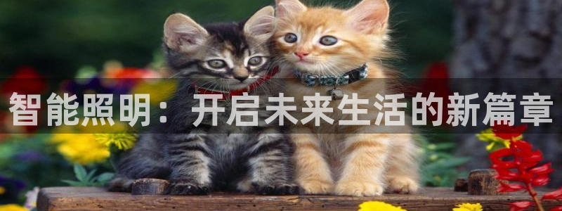 云顶国际服几个月不玩能不能登录