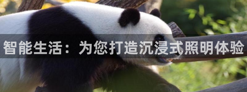 云顶集团有限公司,林东简历