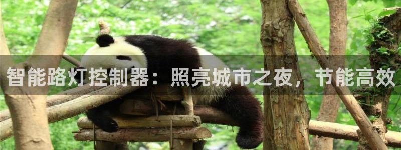 云顶国际服账号