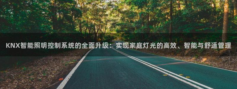 云顶国际在线登录不上：KNX智能照明控制