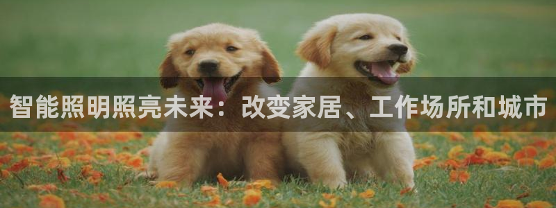 yd2333云顶电子游戏