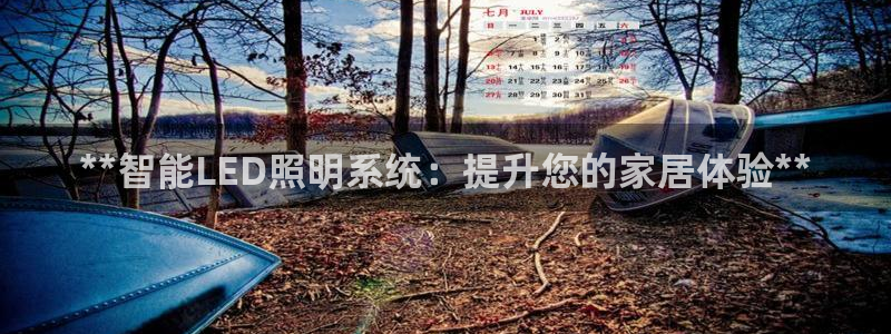 云顶t00：**智能LED照明系统：提升