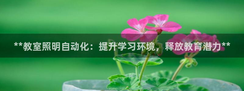 云顶集团网站注册：**教室照明自动化：提