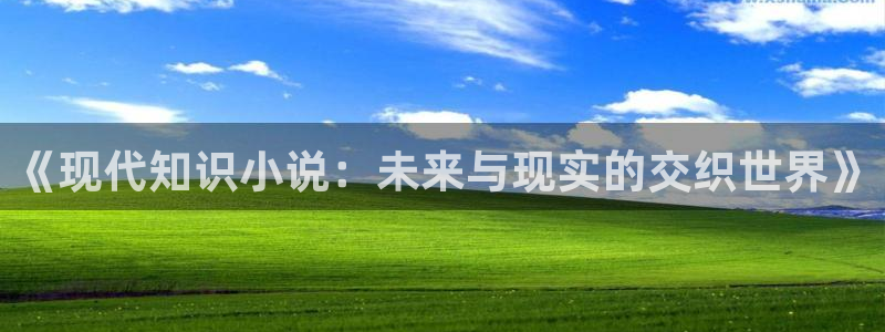 po文小说阅读