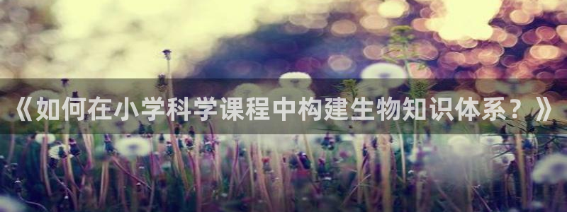 纯爱po文小说