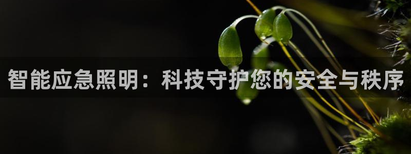 云顶集团官网电话