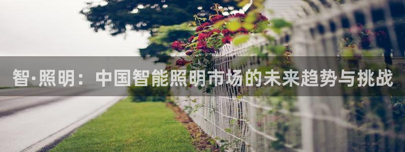 云顶国际连接