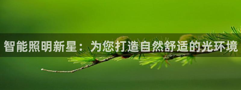 552211云顶网站