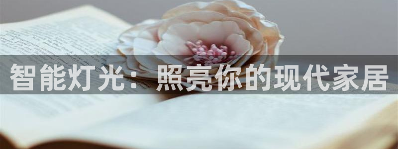 云顶国际服S9什么时候更新