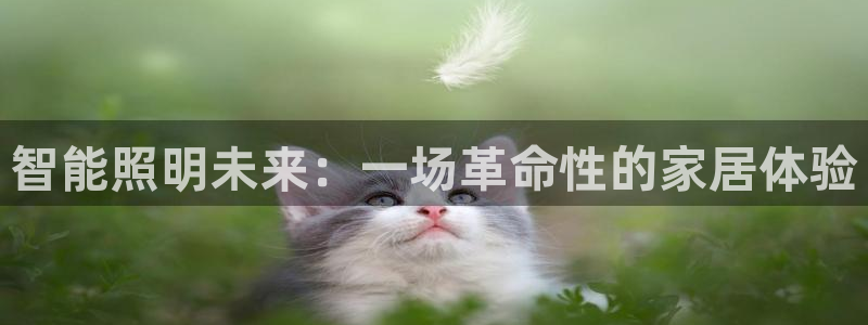 云顶国际app是什么
