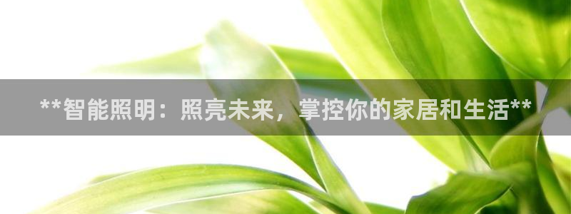 云顶国际大酒店是几星级