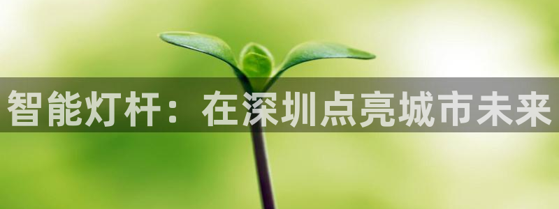 云顶高中国际部学费