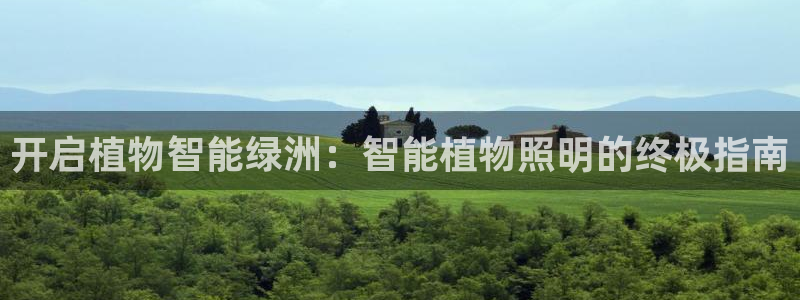 云顶国际投资有限公司招聘